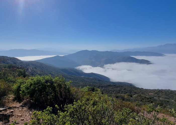 TrAIl eco Run (Post de Instagram)